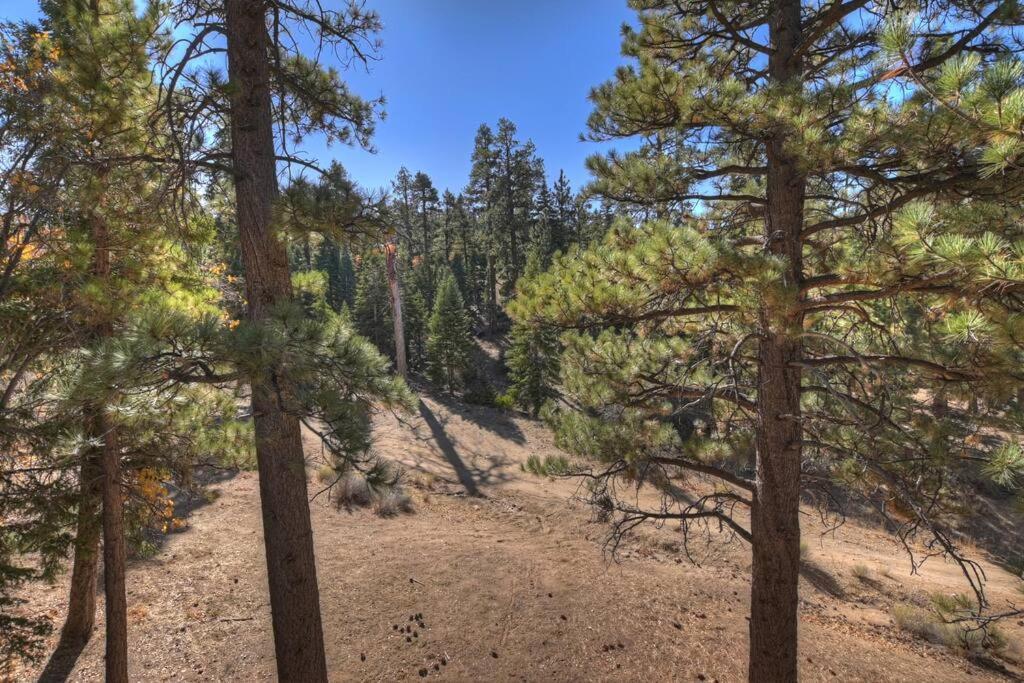 Everwood Serenity Treehouse Ontrail Head/Sledding Βίλα Big Bear Lake Εξωτερικό φωτογραφία